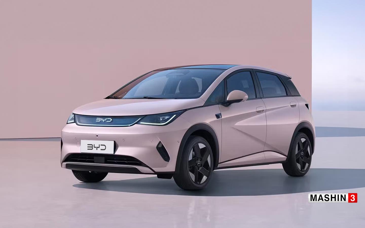 دلفینبی وای دی