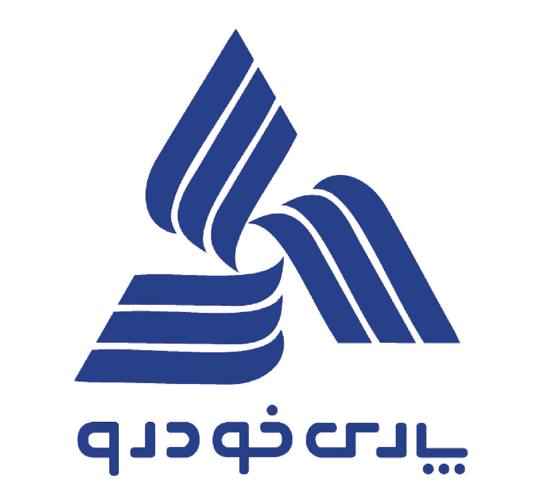 برنامه جدید پارس خودرو برای واردات خودرو نیسان سیلفی و رووی eRX5