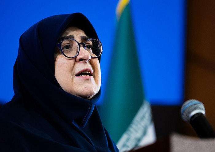 واردات یک خودرو با سود بازرگانی صفر؛ مشوق جدید دولت برای بازگشت نخبگان